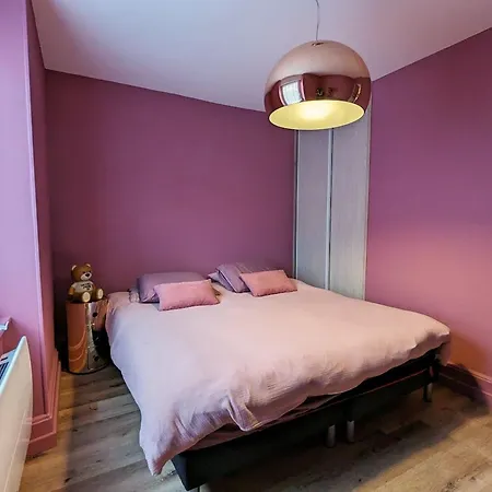 Apartament Renove Avec Jardin, Parking Et Wifi A - Fr-1-589-678